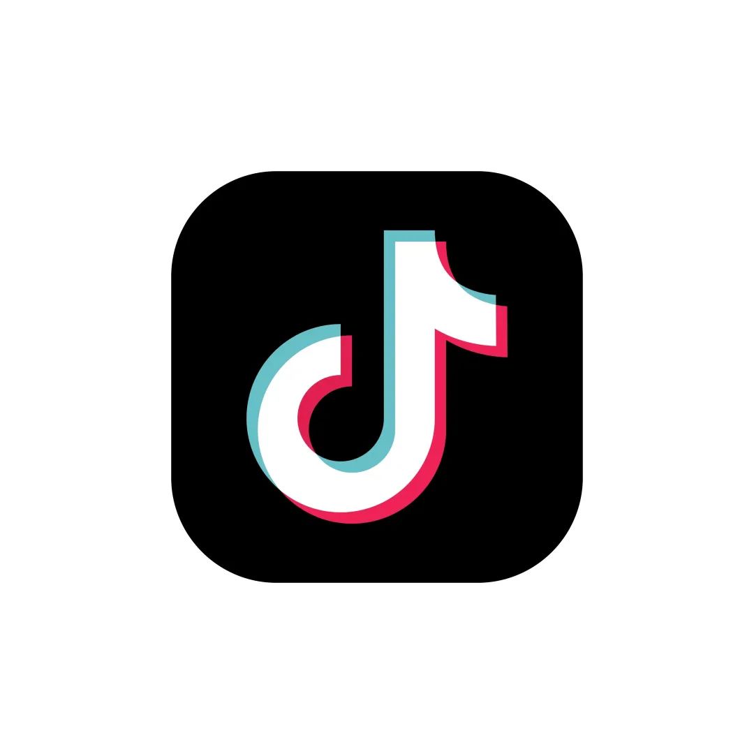 TikTok粉丝